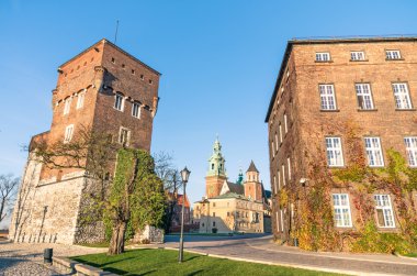 The Gothic Wawel Castle in Kraków
