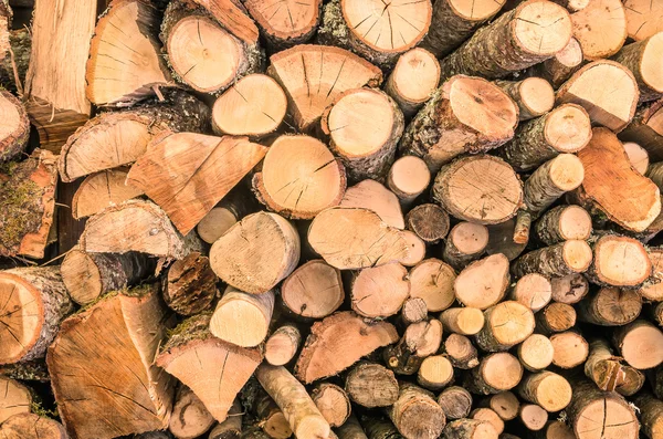 Holz Hintergrund - ökologische Holzmuster Textur Tapete — Stockfoto