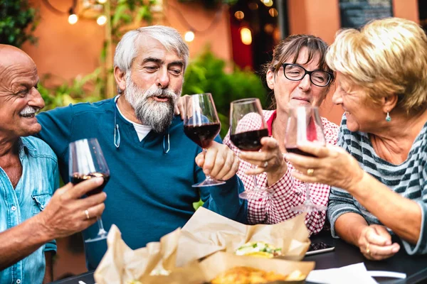 Happy Senior Bersenang Senang Memanggang Anggur Merah Pesta Kebun Makan — Stok Foto