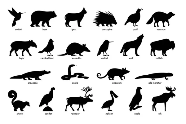 Big set of black silhouettes of America animals — Stock Vector