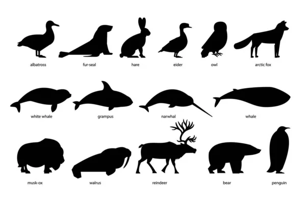 Ensemble vectoriel de silhouettes noires d'animaux mignons Vecteur En Vente