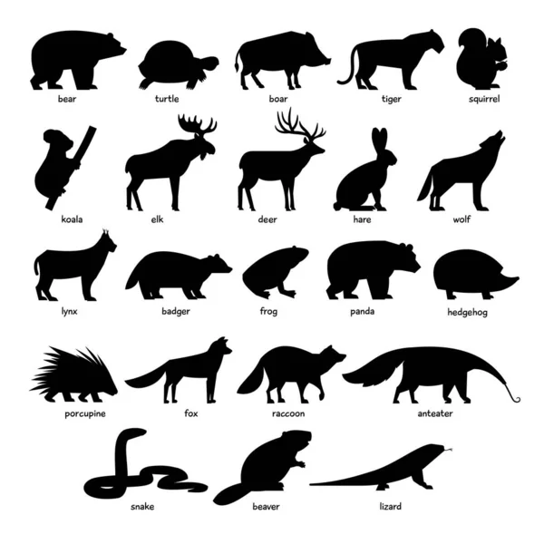 Big Collection Black Silhouettes Forest Wild Animals — Stock Vector