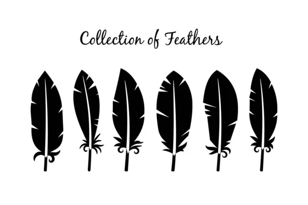 Έξι Διαφορετικές Μαύρες Σιλουέτες Από Χαριτωμένα Φτερά Πουλιών Εικονογράφηση Αρχείου