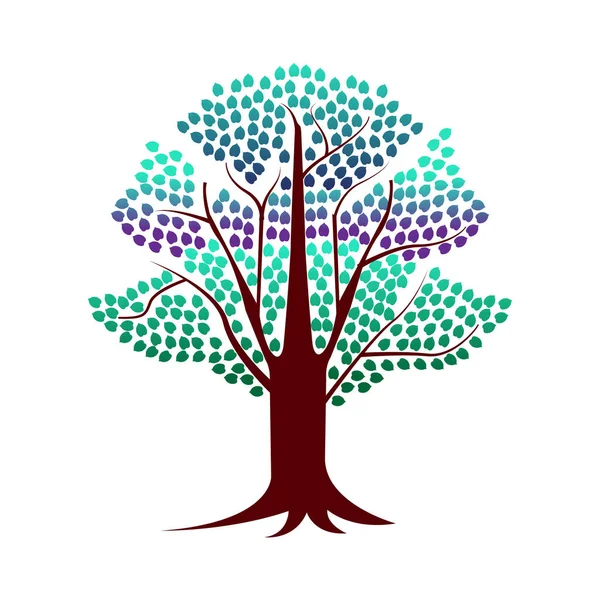 Árbol Colorido Con Hojas Vector Icono Símbolo Diseño — Vector de stock