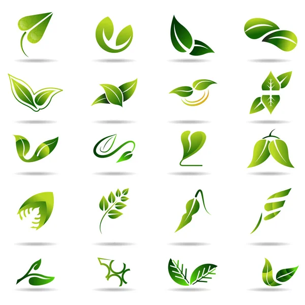 Conjunto Iconos Hoja Verde Conjunto Logotipos — Vector de stock