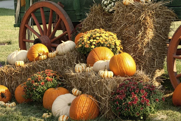 Exhibición antigua de la calabaza del carro y del otoño — Foto de Stock