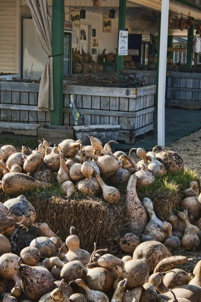 Mercado de Agricultores Birdhouse Gourd Harvest —  Fotos de Stock