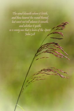 Wind of Holy Spirit Grasses Analogy clipart