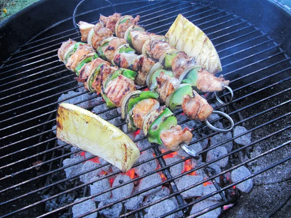 Grilling Chicken Kabobs Over Charcoal — Stok Foto