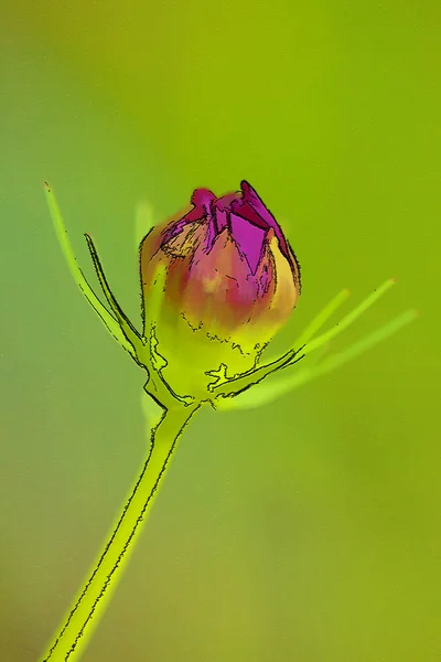 Cyfrowo malowane kosmos Kwiat pączek — Zdjęcie stockowe
