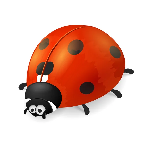 Belle coccinelle sur fond blanc — Image vectorielle