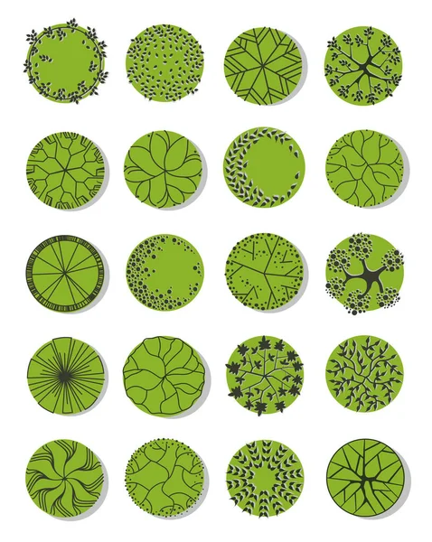 Árboles Para Plan Maestro Árbol Para Planos Arquitectónicos Diseño Séquito — Archivo Imágenes Vectoriales