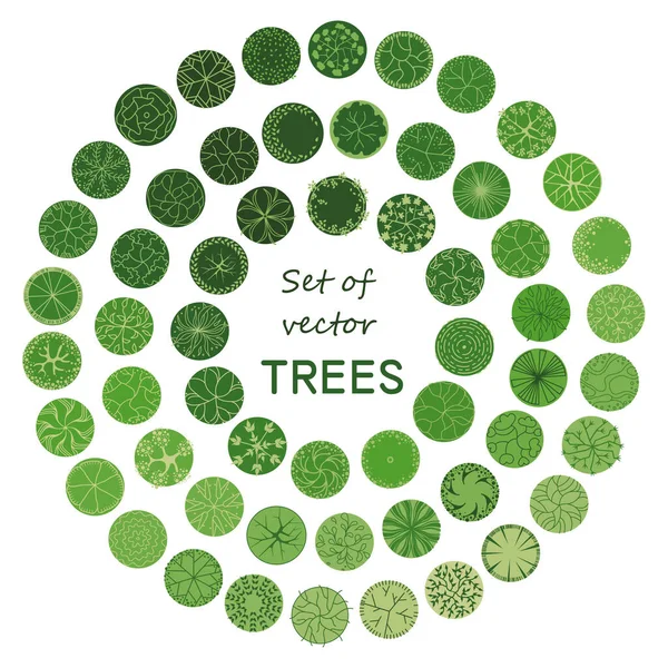 Trees Master Plan Tree Architectural Floor Plans Entourage Design Various Royalty Free Stock Illustrations