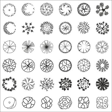 Mimari kat planları için ağaç. Çevre tasarımı. Çeşitli ağaçlar, çalılar ve çalılar, peyzaj tasarım planı için üst manzara. Vektör illüstrasyonu.