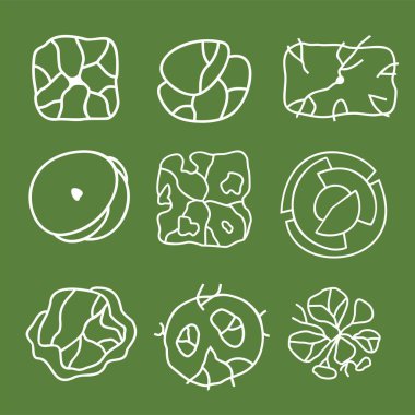 Mimari kat planları için ağaç. Çevre tasarımı. Çeşitli ağaçlar, çalılar ve çalılar, peyzaj tasarım planı için üst manzara. Vektör illüstrasyonu.