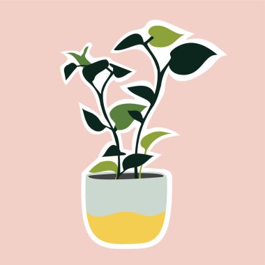 Saksıda düz ev bitkisi. Çiçek. Bitkilerle moda bir ev dekorasyonu. Vektör çizimi. Etiket.