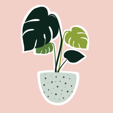 Canavar mı? Saksıda ev bitkisi var. Bitkilerle moda bir ev dekorasyonu. Vektör çizimi. Etiket.