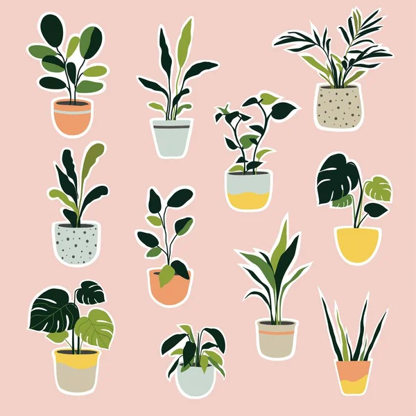 Conjunto Plantas Casa Las Ollas Decoración Casera Moda Con Plantas — Vector de stock