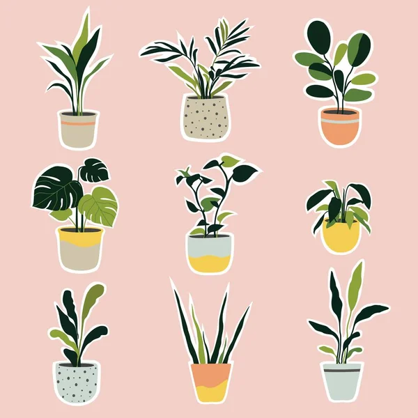 Conjunto Plantas Casa Las Ollas Decoración Casera Moda Con Plantas — Vector de stock