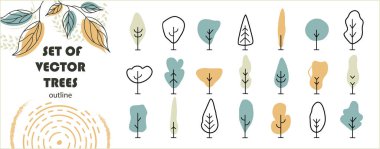 Vektör ağaçları kümesi. Planımız için arkadaş çevresi tasarımı. Çeşitli ağaçlar, çalılar ve çalılar, peyzaj tasarım planı için üst manzara. Vektör illüstrasyonu.