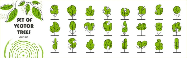 Набор Векторных Деревьев Окружной Дизайн Плана Разнообразные Деревья Кустарники Кустарники — стоковый вектор