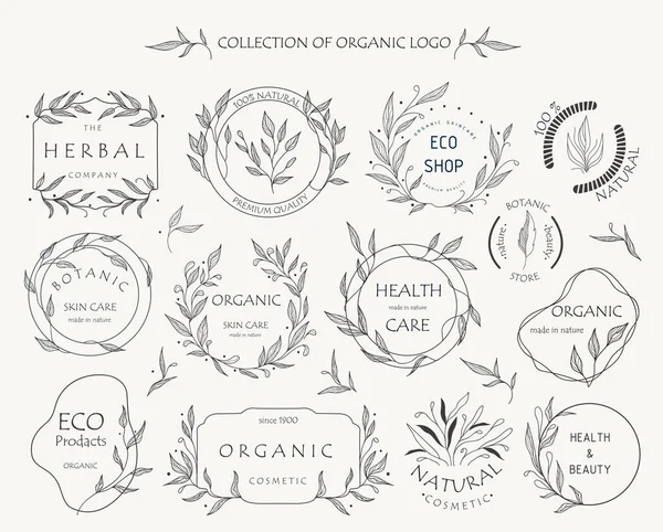 Marcas Florales Colección Vectores Diseño Logotipos Marcos Temáticos Orgánicos — Vector de stock