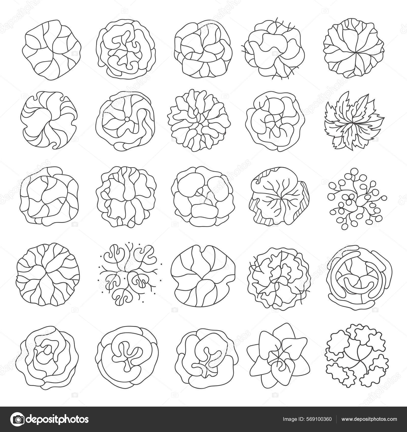 Trees Master Plan Tree Plans Architectural Floor Plans Landscape