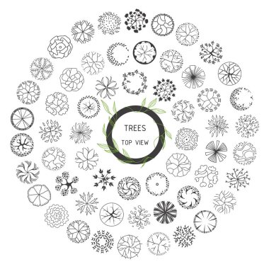 Trees top view. Entourage design. Various trees, bushes, and shrubs, top view for the landscape design plan. Vector illustration.