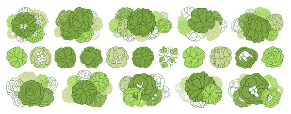 建築フロアプランのための木 デザインを奨励する 様々な木 景観設計計画のためのトップビュー ベクターイラスト — ストックベクタ