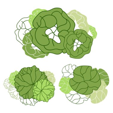 Mimari kat planları için ağaç. Çevre tasarımı. Çeşitli ağaçlar, çalılar ve çalılar, peyzaj tasarım planı için üst manzara. Vektör illüstrasyonu.