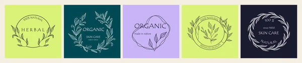 Set Botanischer Logos Für Ihr Unternehmen Perfekt Für Kosmetikmarken Öko — Stockvektor