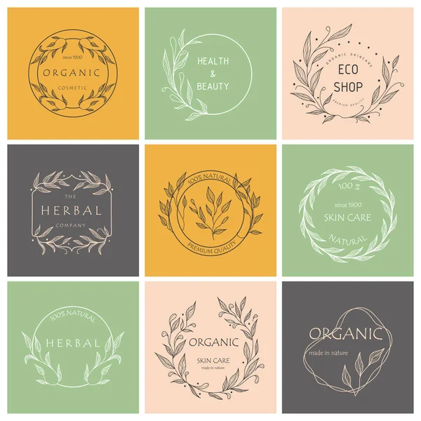 Set Botanical Logos Your Business Perfect Cosmetic Brands Eco Design — Vector de stock