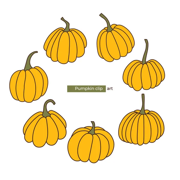 Набор Различных Очертаний Тыкв День Благодарения Осеннее Настроение Вектор Хэллоуина — стоковый вектор