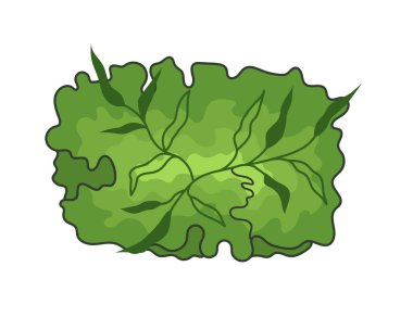 Mimari kat planları için ağaç. Çevre tasarımı. Çeşitli ağaçlar, çalılar ve çalılar, peyzaj tasarım planı için üst manzara. Vektör illüstrasyonu.