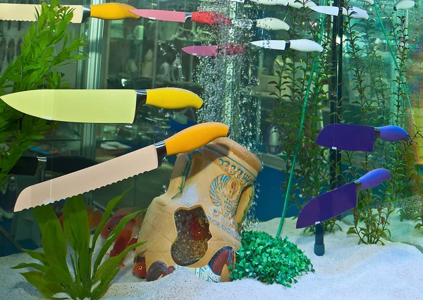 Cuchillos nadan en un acuario —  Fotos de Stock