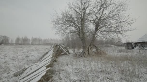 Сельский Пейзаж Сломанным Деревянным Забором — стоковое видео