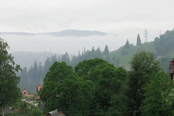 Mattina Valle Con Foresta Nebbia Montagne Con Nebbia Sopra Gli — Foto Stock
