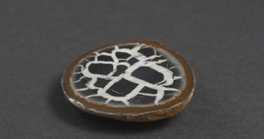 Karanlık bir arka planda Septaria. Kaplumbağa taşı. Ejder Taşı.