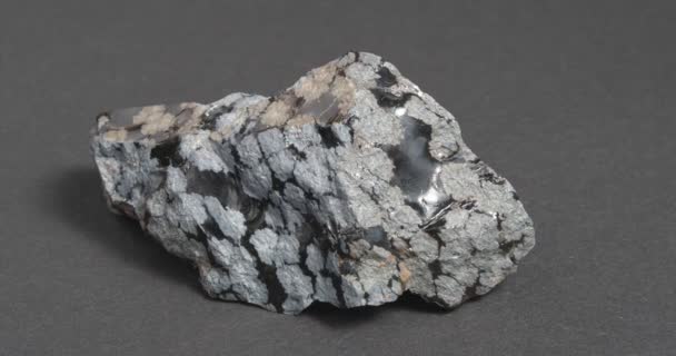 Obsidienne minérale de neige. La pierre est d'origine volcanique sur un fond sombre. — Video