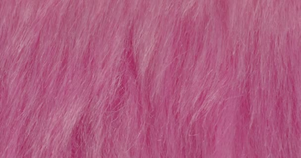 Macro texture di eco-pelliccia. Primo piano del mucchio. Sfondo rosa. — Video Stock