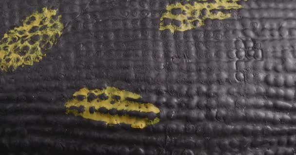 Die Textur des Silikonspielzeugs ist hautnah. Makrofragment unter der Haut eines Reptils. — Stockvideo