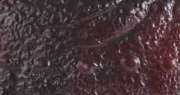 La texture du plastique est en gros plan. Fragment macro sous la peau d'un reptile. — Video