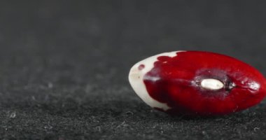 Kırmızı fasulye dokusuna yakın çekim. Makro baklagil.