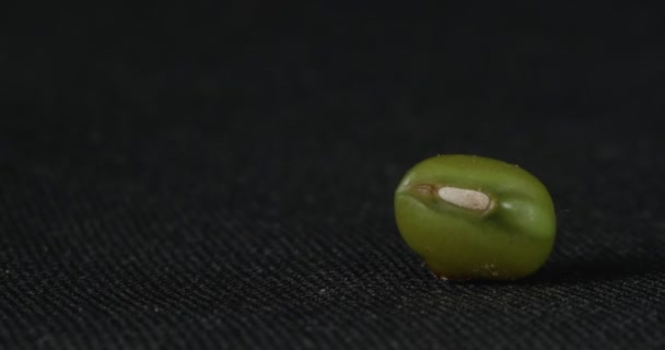 Mung bean close-up em um fundo preto. Grãos macro de lentilhas verdes. Macro leguminosas. — Vídeo de Stock
