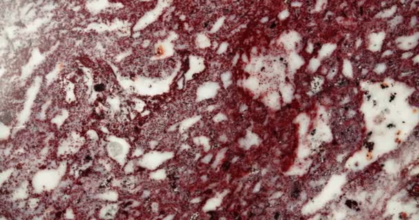 Fundo de pedra de opala. Textura macro e estrutura de um mineral. — Vídeo de Stock