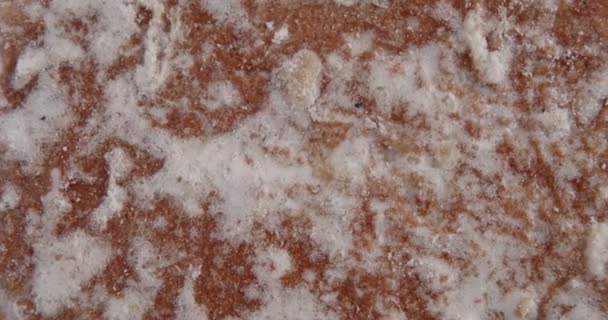 Gingerbread in glaze close-up. Abstract surface. — Stockvideo