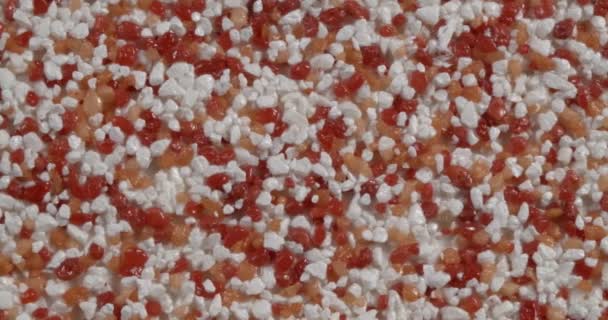 Nahaufnahme Textur von feinen Marmorsplittern. Mini-Struktur. Rote und weiße Farbe. — Stockvideo