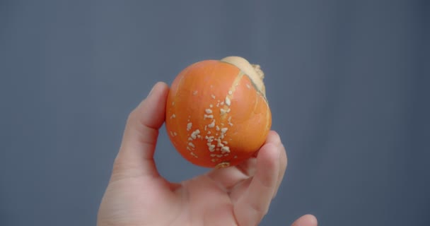 Рука показує декоративний гарбуз у вигляді гриба . — стокове відео