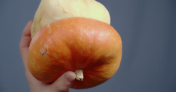 Рука показує декоративний гарбуз у вигляді гриба . — стокове відео