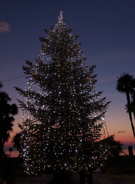 Arbre de Noël Images De Stock Libres De Droits